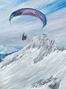 南極フライヤー、2015年、 作： Vincent Alexander Booth