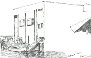 Aquarium Boston Mass, 2003 作： Vincent Alexander Booth