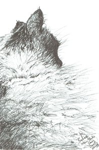 赤ちゃんの防寒対策 2005年お正月 作： Vincent Alexander Booth