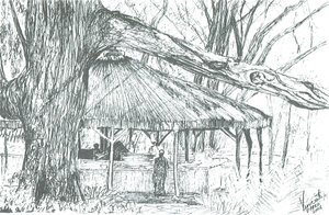 ナイバシャ湖の屋外バー、2006年；（紙にインク 作： Vincent Alexander Booth