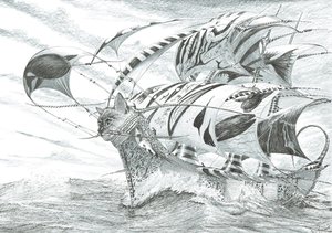 Storm Creators チロエ海、2018 作： Vincent Alexander Booth