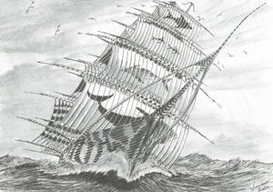 ストームクリエイターズ ガラボガスコール湖海、2020年 作： Vincent Alexander Booth