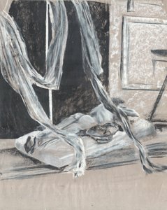 シート越しの風が 作： Vincent Alexander Booth