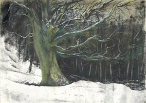 冬の雪の中の木（Osmotherleyの森にて 作： Vincent Alexander Booth