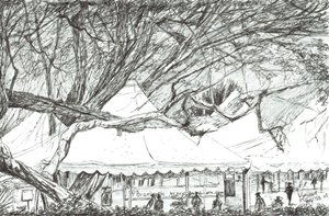 ケニアのナウェシャ湖での結婚式のテント、2003年 作： Vincent Alexander Booth