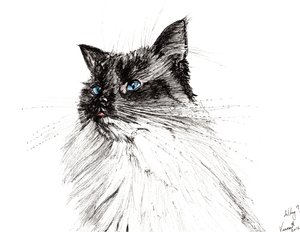 どうして？ 2016、（紙にインク） 作： Vincent Alexander Booth