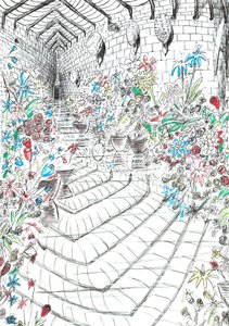 ページ37、フィンドホーンの森の城、2006年（紙にインク） 作： Vincent Alexander Booth