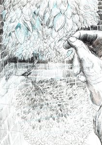 ページ43、フィンドホーンの森の城、2006年（紙にインク） 作： Vincent Alexander Booth