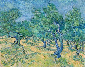 オリーブの木立、1889 年。 作： Vincent van Gogh