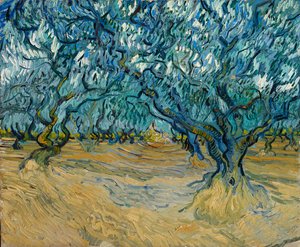 オリーブの木立、サン レミ、1889 年。 作： Vincent van Gogh