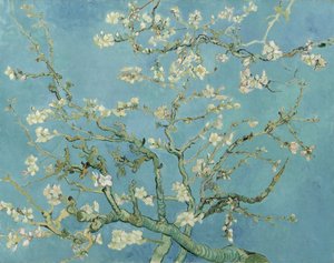  作： Vincent van Gogh