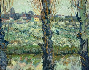 アルルの眺め 作： Vincent van Gogh