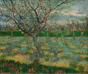 アプリコットの木が咲く果樹園 作： Vincent van Gogh