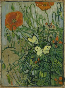 蝶とポピー 作： Vincent van Gogh