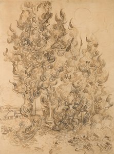 イトスギ 作： Vincent van Gogh