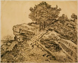 松の木のあるモンマジュールロック 作： Vincent van Gogh