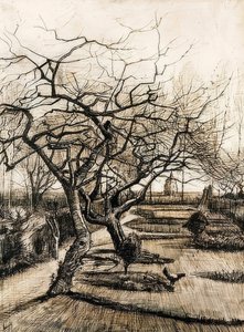 Nuenenの牧師館の庭。 1884 作： Vincent van Gogh