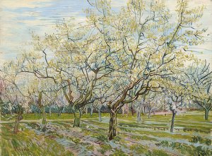 白い果樹園。 1888 作： Vincent van Gogh