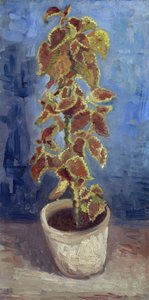 植木鉢の中の炎のイラクサ par Gogh, Vincent, van (1853-1890).キャンバスに油彩、サイズ：42,1x21,9 作： Vincent van Gogh