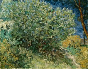 ライラックブッシュ 作： Vincent van Gogh