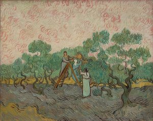 オリーブを収穫する女性。 1889 作： Vincent van Gogh
