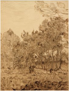 療養所の公園で 作： Vincent van Gogh