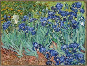 アイリス 作： Vincent van Gogh