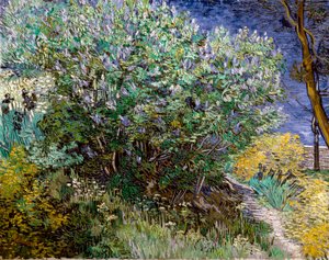 ライラック・ブッシュヴィンセント・ヴァン・ゴッホ（1853-1890 作： Vincent van Gogh