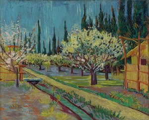 ヒノキの木に囲まれた果樹園。 1888 作： Vincent van Gogh