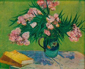 セイヨウキョウチクトウ、1888 作： Vincent van Gogh