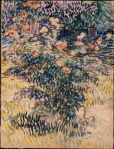 オレアンダー、サンレミーの病院庭園、1889年 作： Vincent van Gogh