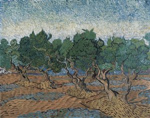 オリーブグローブ 作： Vincent van Gogh