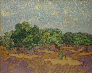 オリーブの木。 1889 作： Vincent van Gogh