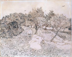 モンマジュールのオリーブの木 作： Vincent van Gogh