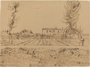 1888年、アルル近郊の畑の耕作者。 作： Vincent van Gogh