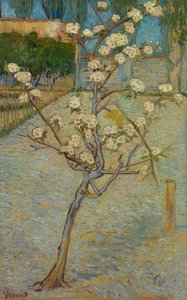 花咲くセイヨウナシ 作： Vincent van Gogh