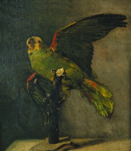 緑のオウム。緑のオウム、1885 作： Vincent van Gogh