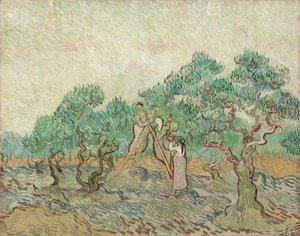 オリーブ果樹園、1889 年。 作： Vincent van Gogh