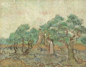 オリーブ果樹園、1889 作： Vincent van Gogh
