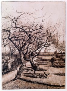冬のヌエネンのパーソネージ・ガーデン (1884) 作： Vincent van Gogh