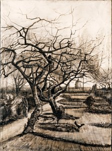The Parsonage Garden at Nuenen in Winter - Oeuvre de Vincent, van Gogh (1853-1890) - 1884 - ペン、ブラシ、インク、紙 - 51,5x38 - Szepmuveszeti Muzeum, Budapest 作： Vincent van Gogh