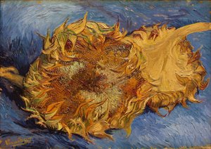 ひまわり、1887 作： Vincent van Gogh