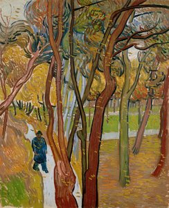 セントポールズ病院の庭葉の落下、1889年 作： Vincent van Gogh