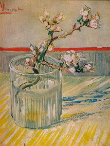 花の茎DAmandier、1888 作： Vincent van Gogh
