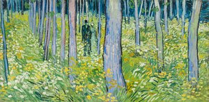 2つの数字の下草 作： Vincent van Gogh
