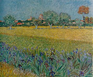 ブルームのアイリスとエールの眺め、1888 作： Vincent van Gogh
