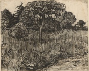 シダレザクラ 作： Vincent van Gogh