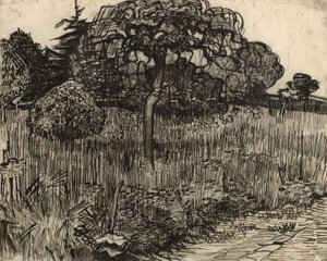 しだれの木、1889 作： Vincent van Gogh
