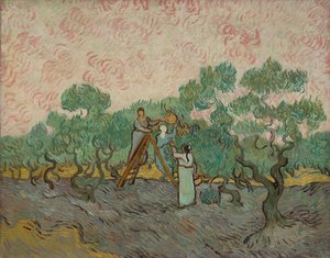 オリーブを選ぶ女性たち、1889年。 作： Vincent van Gogh