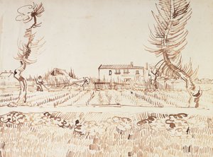 アルルのフィールドでの作業。アルルの畑の耕作者、1888 作： Vincent van Gogh